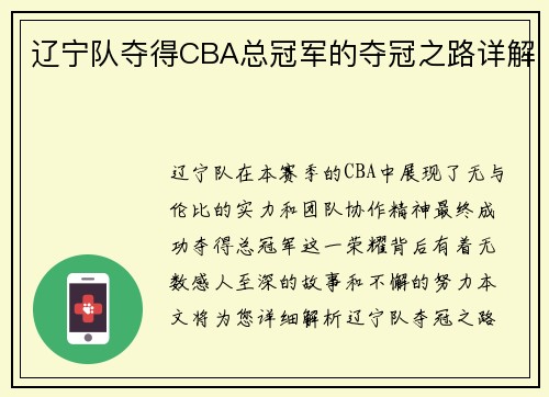 辽宁队夺得CBA总冠军的夺冠之路详解